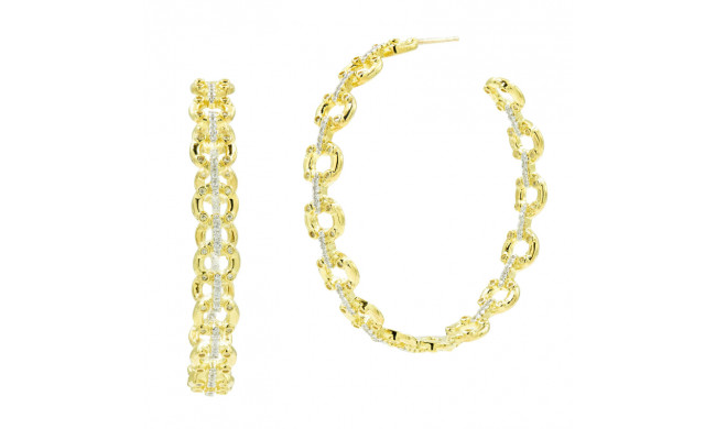 Freida Rothman Chain Link Hoop Earrings - RNPYZE47-14K