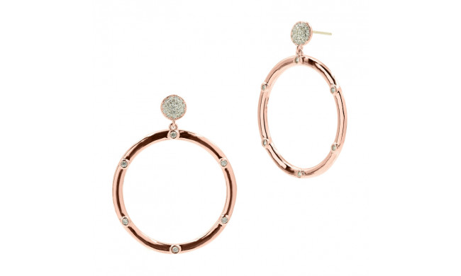 Freida Rothman Radiance Drop Hoop Earring - RNRPZE17-14K