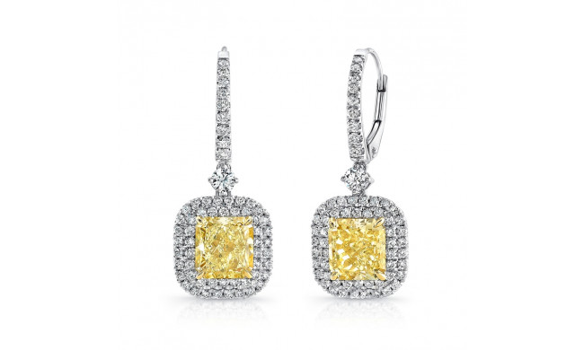 Uneek Natureal Diamond Earrings - LVE680