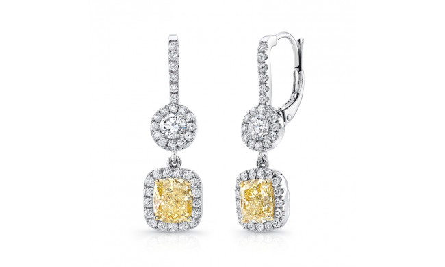 Uneek Natureal Diamond Earrings - LVE688RADFY