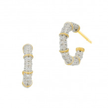 Freida Rothman Sparkling Coast Mini Hoop Earrings - BCPYZE27-14K