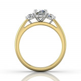 Martin Flyer Two Tone 18k Gold FlyerFit Engagement Ring photo3