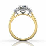 Martin Flyer Two Tone 18k Gold FlyerFit Engagement Ring photo3