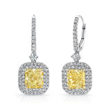 Uneek Natureal Diamond Earrings - LVE680 photo