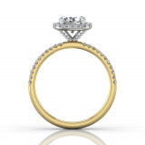 Martin Flyer Two Tone 18k Gold FlyerFit Engagement Ring photo3